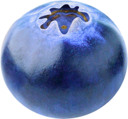 3D Blueberry Illustration